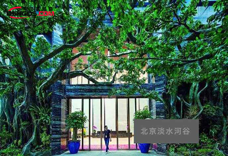 仿真樹假樹.jpg 仿真樹假樹