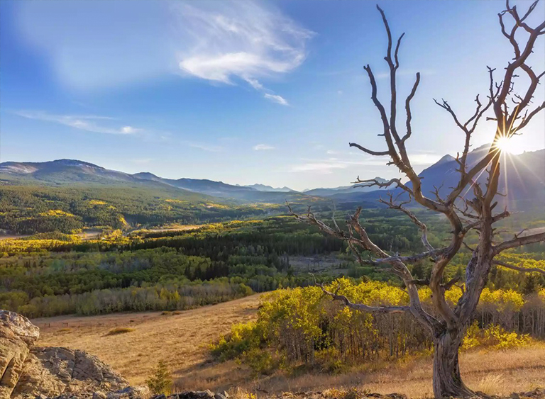 蒙大拿州的劉易斯和克拉克國(guó)家森林公園.jpg 蒙大拿州的劉易斯和克拉克國(guó)家森林公園