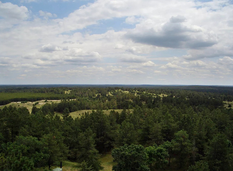 內(nèi)布拉斯加州國(guó)家森林.jpg 內(nèi)布拉斯加州國(guó)家森林