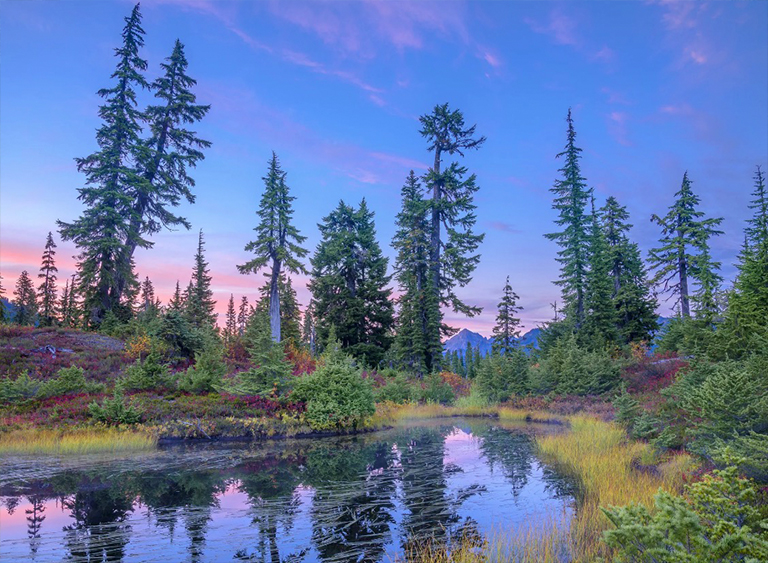 華盛頓的貝克山-斯諾夸爾米山國家森林.jpg 華盛頓的貝克山-斯諾夸爾米山國家森林
