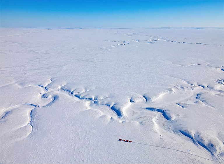 北極苔原.jpg 北極苔原