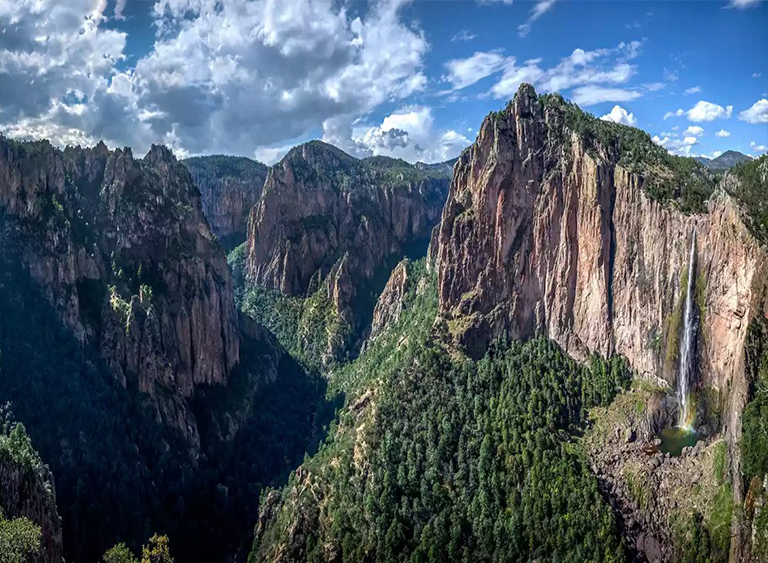 墨西哥山地森林.jpg 墨西哥山地森林