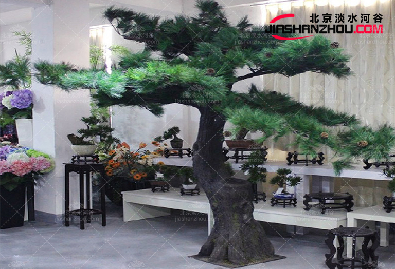 仿真樹.jpg 仿真樹