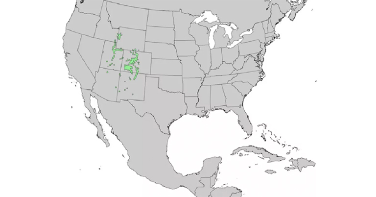 仿真樹(shù).jpg 仿真樹(shù)