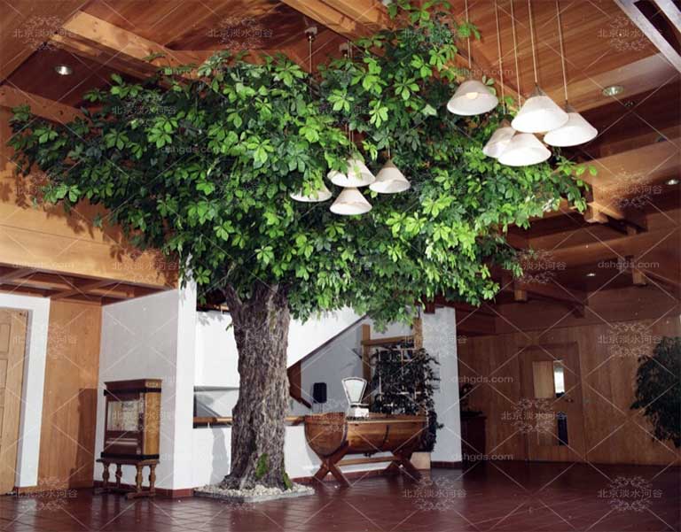 tcp假樹考察.jpg tcp假樹考察