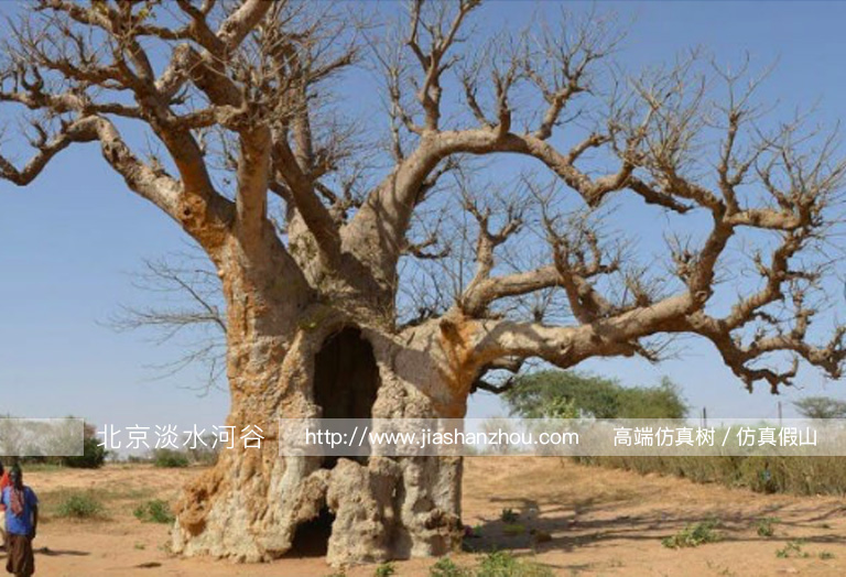 1586502003776852.jpg 31.jpg