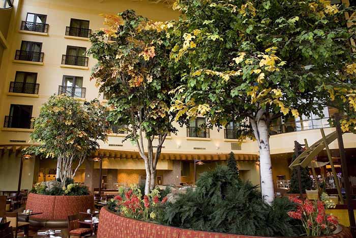 1586504392519538.jpg 1488968838149242.jpg