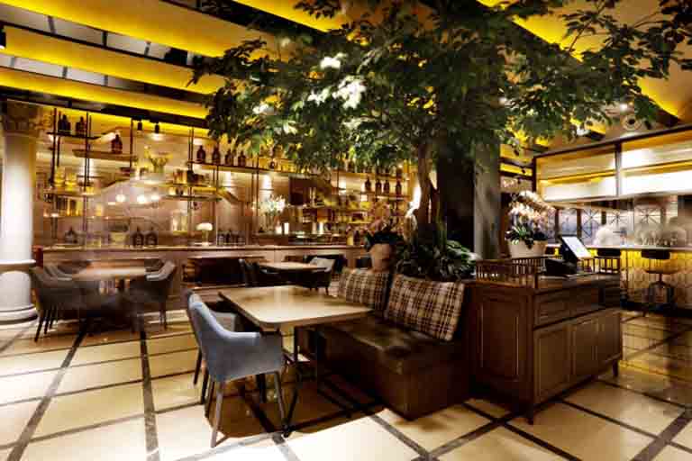 飯店假樹(shù).jpg 飯店假樹(shù)