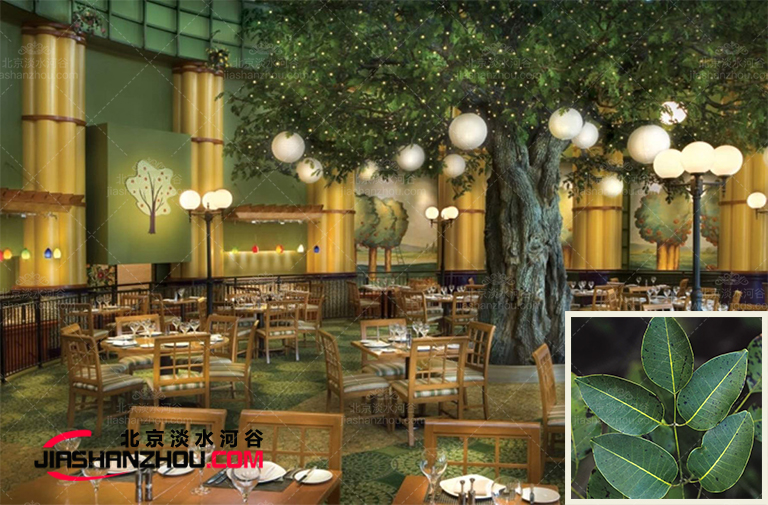 仿真樹.jpg 仿真樹