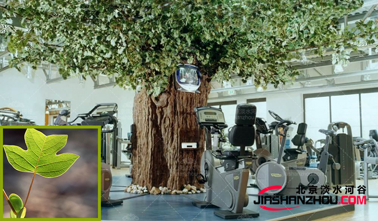 仿真樹.jpg 仿真樹