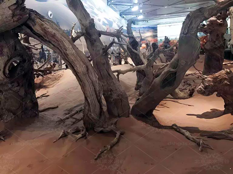 錫安國家公園.jpeg 錫安國家公園