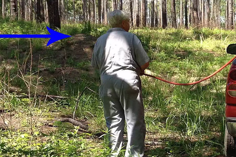 土壤樹的應用.jpg 土壤樹的應用