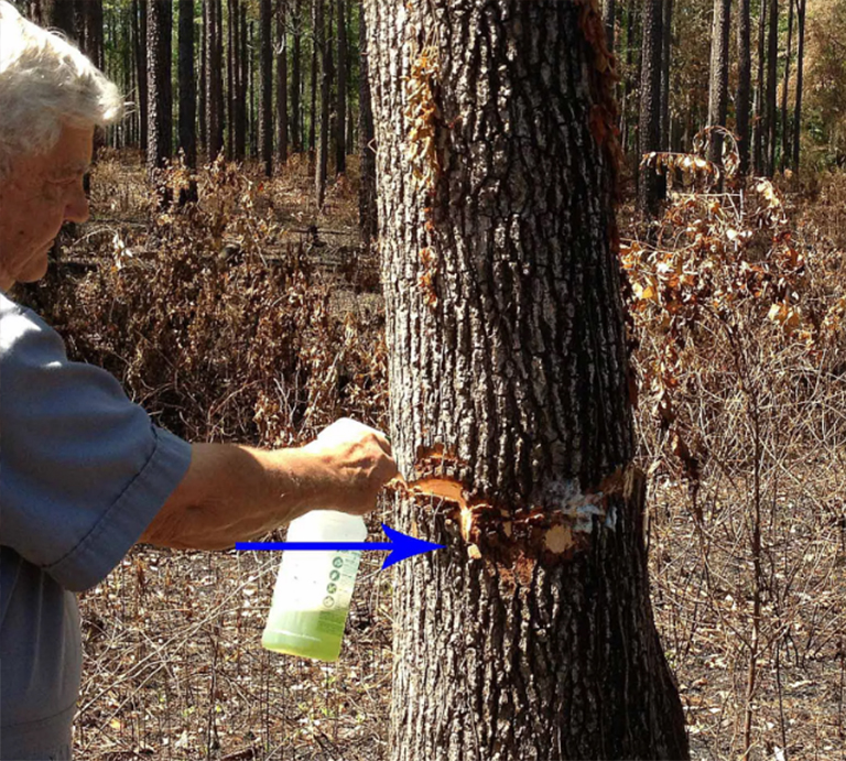 砍樹程序.jpg 砍樹程序