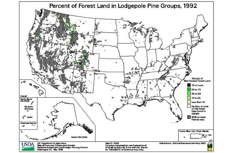 Lodgepole Pine Type地圖.jpg Lodgepole Pine Type地圖