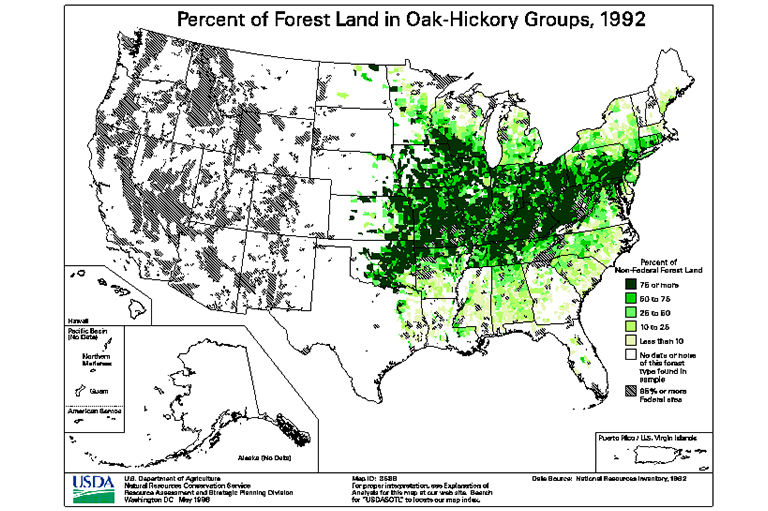 橡樹(shù)山核桃型地圖.jpg 橡樹(shù)山核桃型地圖