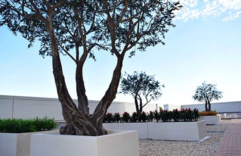 室外假樹.jpg 室外假樹