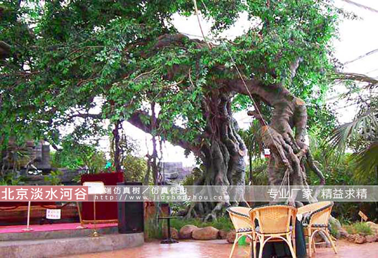 室外假樹.jpg 室外假樹