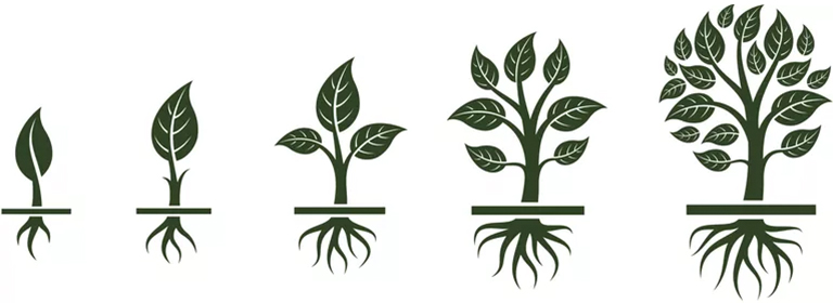 樹形結(jié)構(gòu)