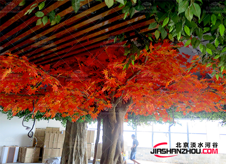 仿真樹(shù).jpg 仿真樹(shù)