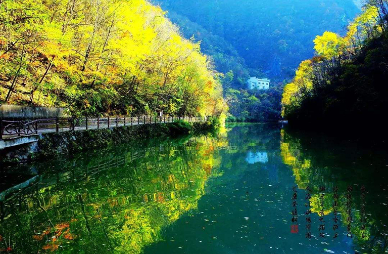 溫帶森林生態系統