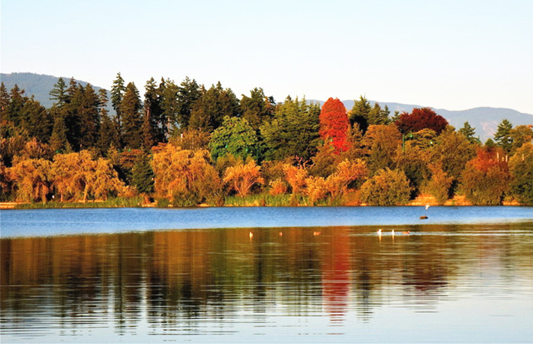 北美東部落葉林.jpg 北美東部落葉林