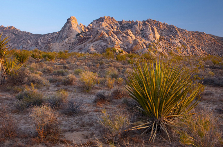 莫哈韋國家保護區，加利福尼亞，美國，北美洲
