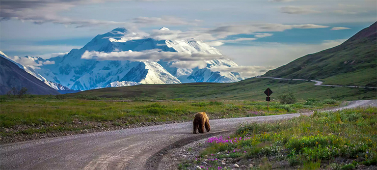 德納利國家公園和自然保護區