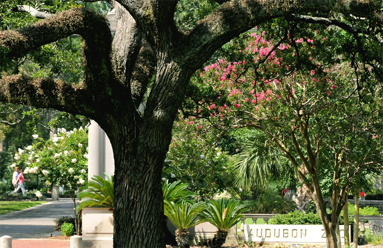 一條路徑的照片在水體附近的在背景中的歷史協(xié)會大樓前