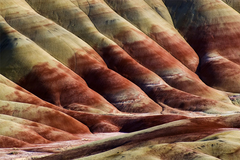約翰·戴化石床國家紀念碑