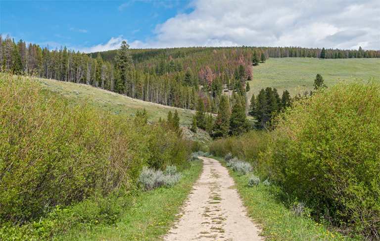 大洞國(guó)家戰(zhàn)場(chǎng).jpg 大洞國(guó)家戰(zhàn)場(chǎng)