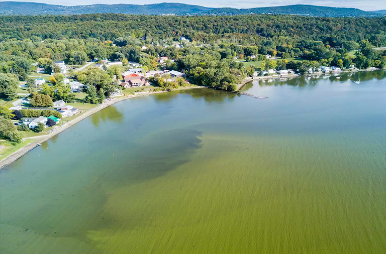 藻類綻放在尚普蘭湖.jpg 藻類綻放在尚普蘭湖