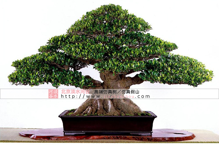 仿真樹(shù).jpg 仿真樹(shù)