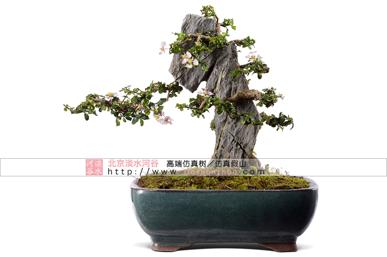 仿真樹(shù).jpg 仿真樹(shù)