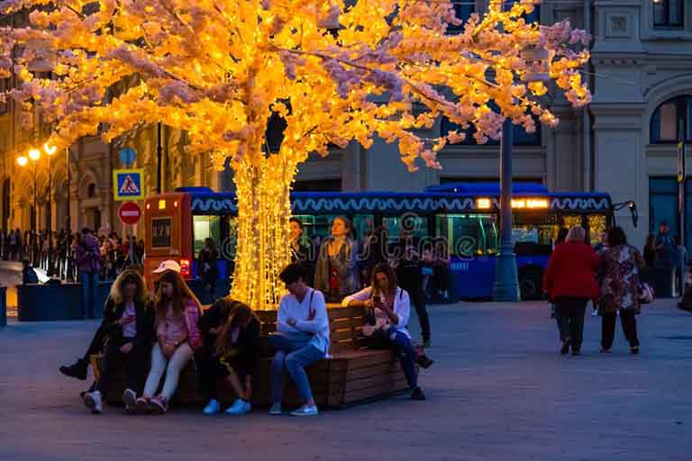 仿真樹(shù).jpg 仿真樹(shù)