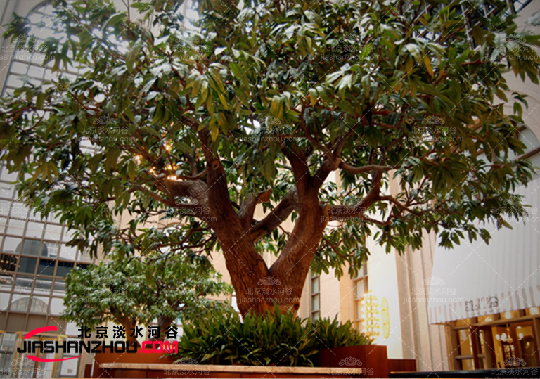 仿真樹.jpg 仿真樹