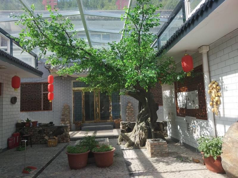 仿真假樹.jpg 仿真假樹