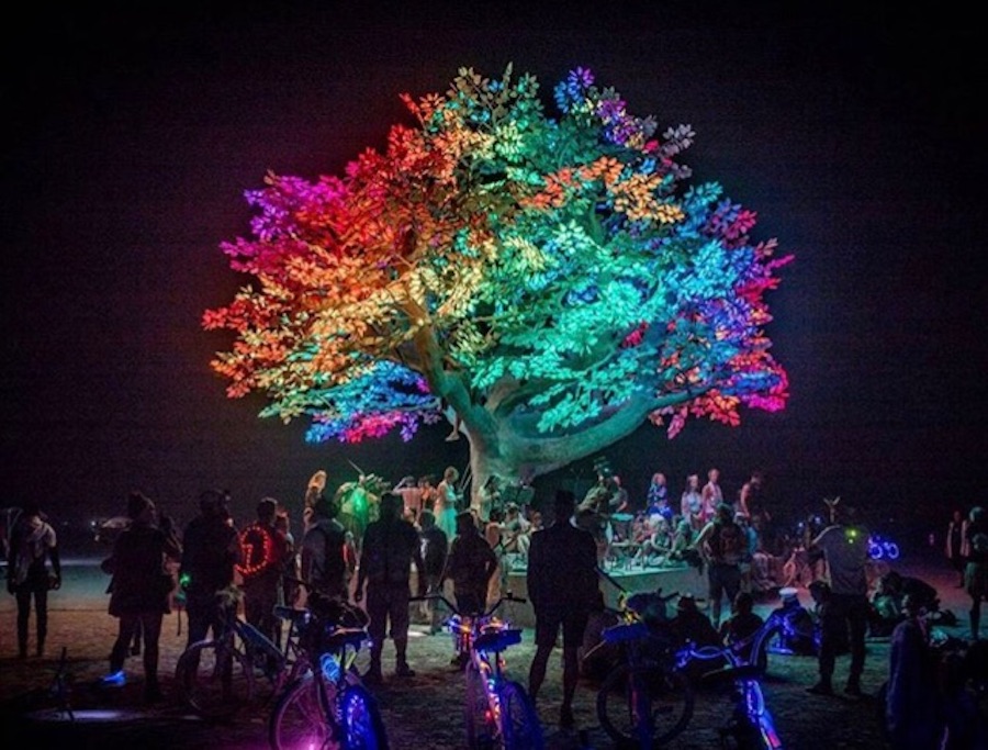 仿真樹.jpg 仿真樹