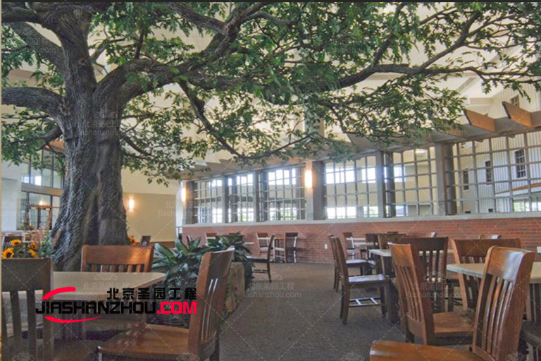 仿真假樹.jpg 仿真假樹