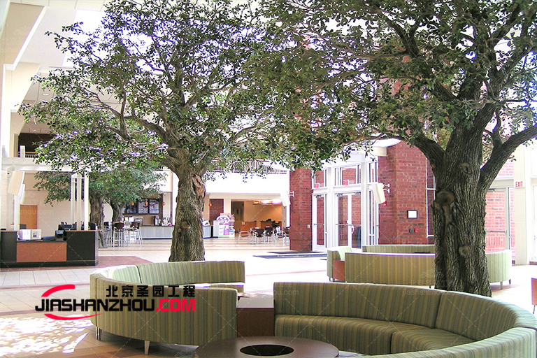 仿真樹.jpg 仿真樹