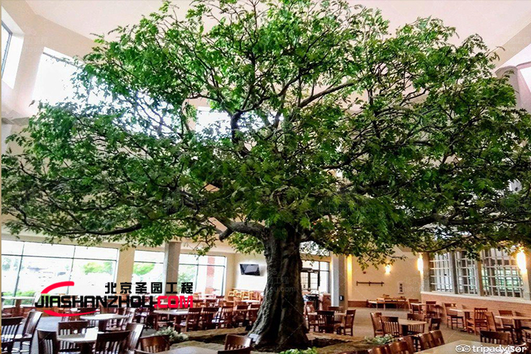 仿真樹餐廳.jpg 仿真樹餐廳