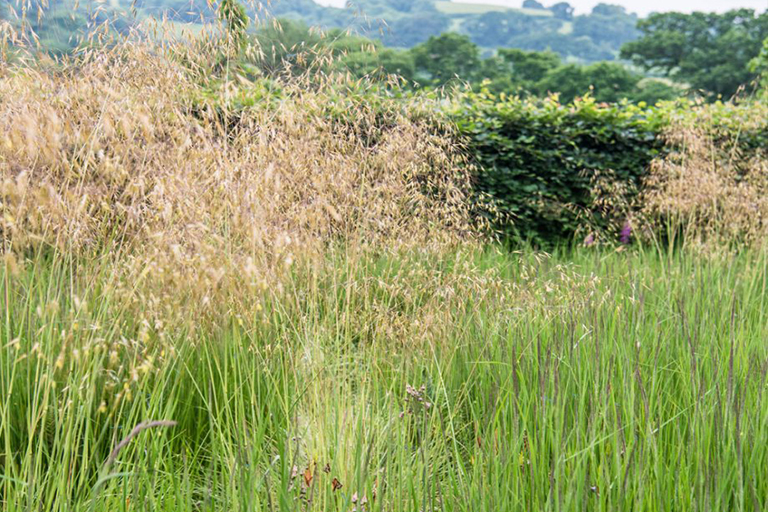 1618294665115896.jpg 1618294049861319.jpg