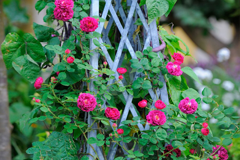 1618294674931593.jpg 1618293876879135.jpg