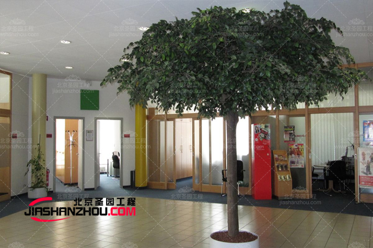 仿真樹.jpg 仿真樹