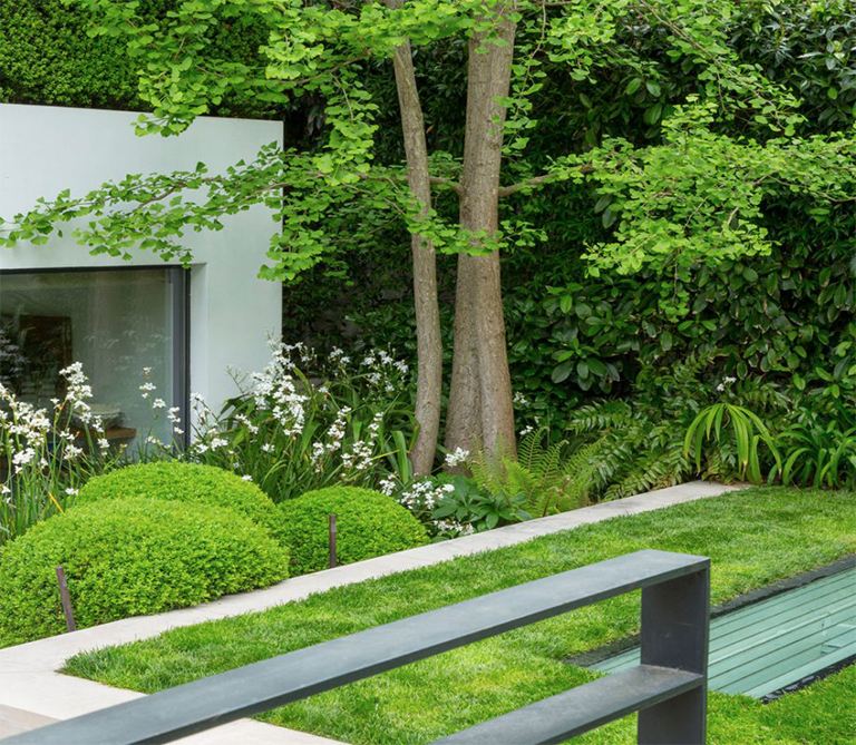 植物.jpg 植物.jpg