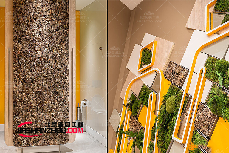 樹屋民宿.jpg 樹屋民宿