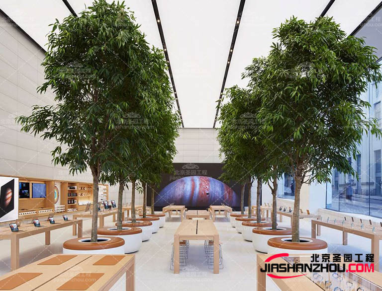 仿真樹.jpg 仿真樹