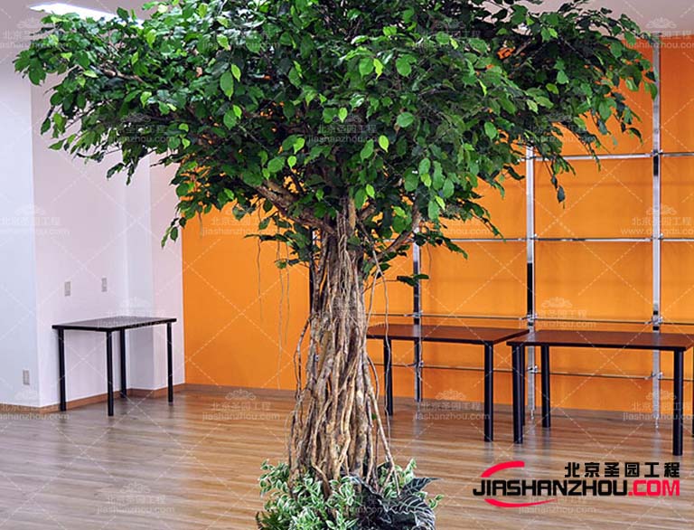 仿真樹.jpg 仿真樹