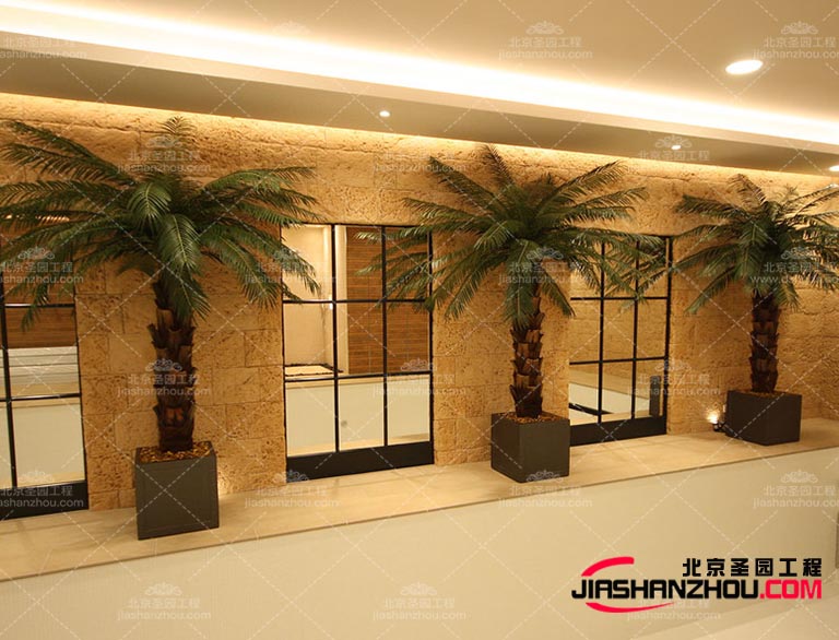 仿真樹(shù).jpg 仿真樹(shù).jpg